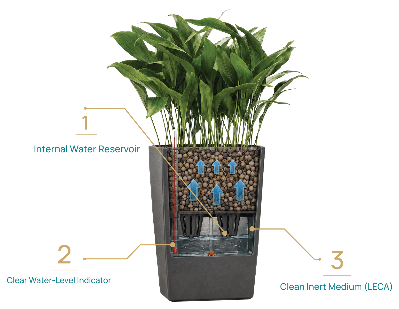 English diagram showing the internal water reservoir, water-level indicator, and clean LECA growing medium